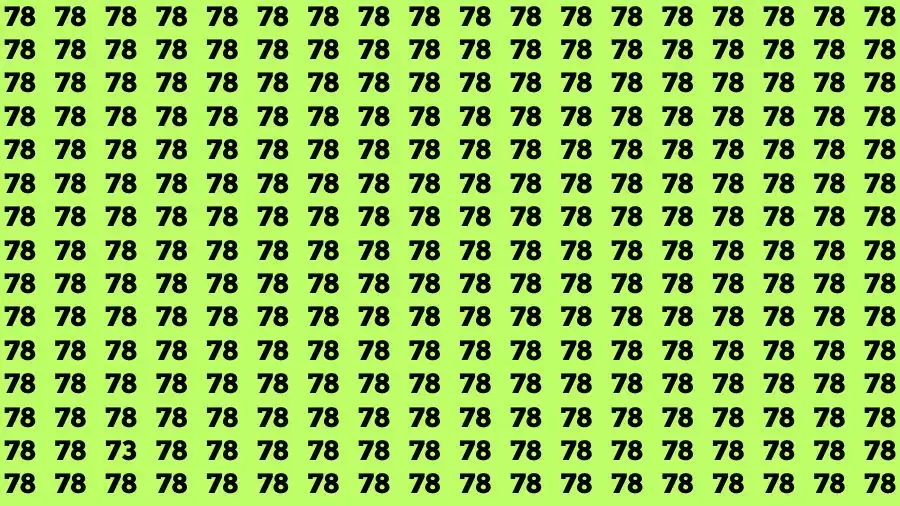 Observation Brain Challenge: If you have Eagle Eyes Find the number 73 among 78 in 12 Secs