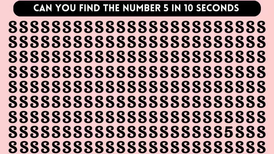 Observation Brain Challenge: If you have Hawk Eyes Find the Number 5 in 10 Secs