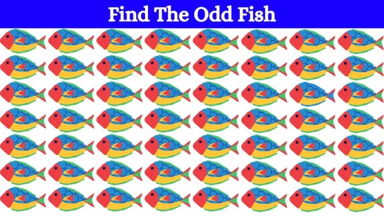 Optical Illusion Visual Test: If you have Eagle Eyes find the Odd Fish in 18 Seconds