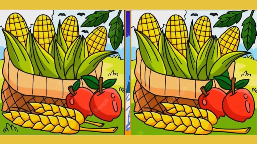 Optical Illusion Spot the Difference Picture Puzzle: Can you Find the 8 Differences Between Two Images?