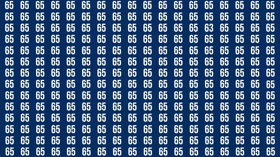 Test Visual Acuity: If you have Sharp Eyes Find the number 63 in 15 Secs