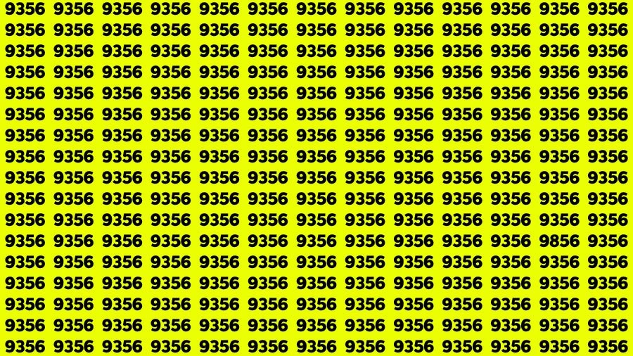 Observation Find it Out: If you have Eagle Eyes Find the number 9856 among 9356 in 13 Secs