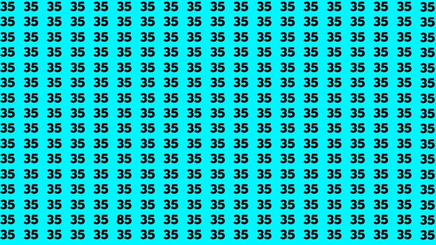 Observation Brain Challenge: If you have Eagle Eyes Find the number 85 among 35 in 12 Secs