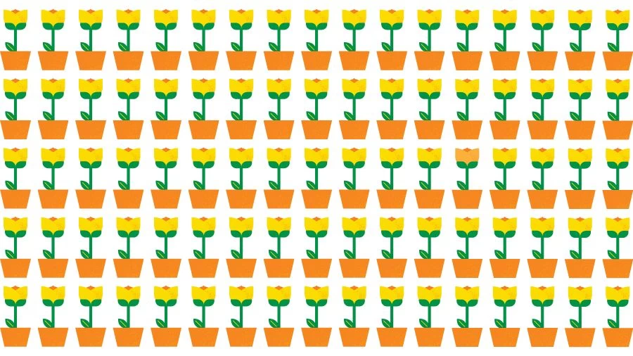 Optical Illusion Brain Challenge: If you have Eagle Eyes find the Odd Plant in 15 Seconds