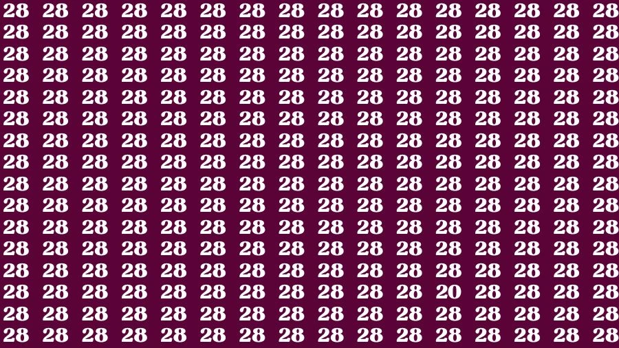 Observation Brain Challenge: If you have Eagle Eyes Find the number 20 among 28 in 12 Secs