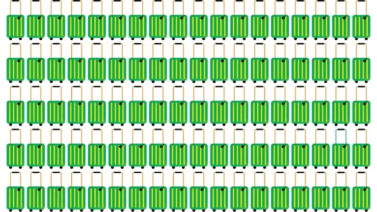 Optical Illusion Visual Test: If you have Eagle Eyes find the Odd Suitcase in 18 Seconds