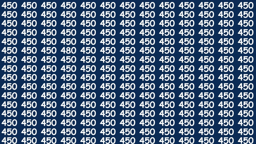 Observation Find it Out: If you have Sharp Eyes Find the Number 480 in 20 Secs