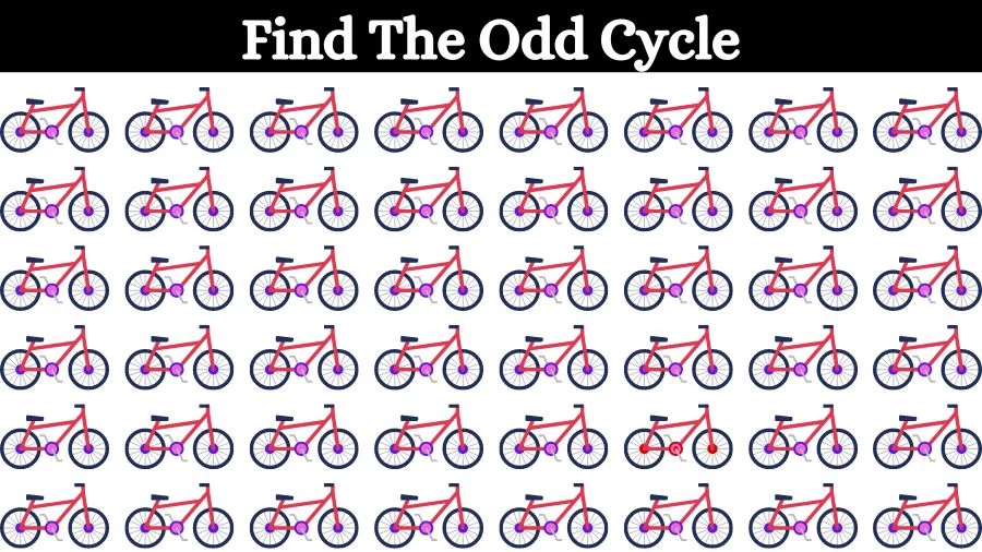 Optical Illusion Visual Test: If you have Eagle Eyes find the Odd Cycle in 18 Seconds