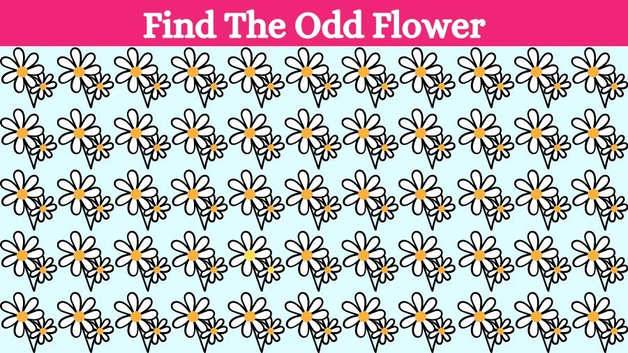 Optical Illusion Brain Challenge: Can you find the Odd Flower in 12 Seconds?