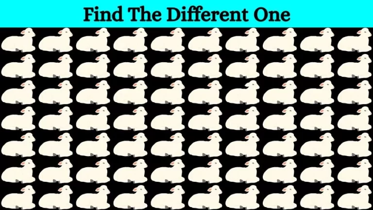 Optical Illusion Brain Challenge: If you have Eagle Eyes find the Odd Sheep in 15 Seconds