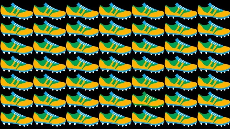 Optical Illusion Visual Test: If you have Eagle Eyes find the Odd Shoe in 18 Seconds