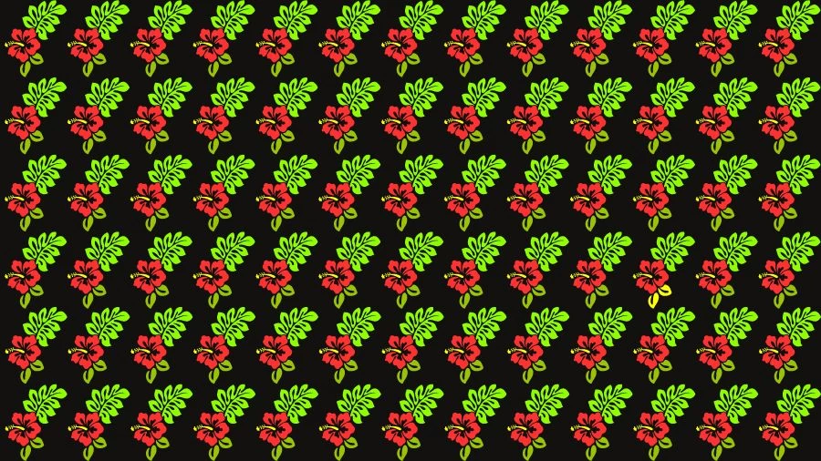 Optical Illusion Visual Test: If you have Eagle Eyes find the Odd Hibiscus in 18 Seconds