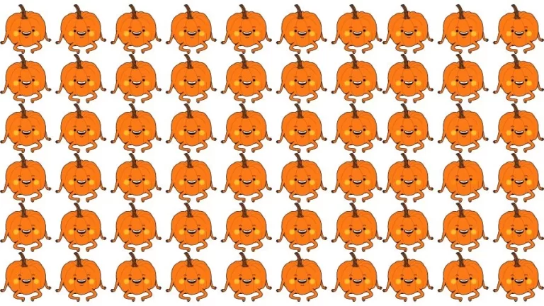 Optical Illusion Visual Test: If you have Eagle Eyes find the Odd Pumpkin in 18 Seconds