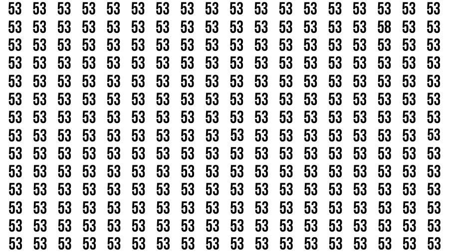 Test Visual Acuity: If you have Hawk Eyes Find the Number 58 in 15 Secs