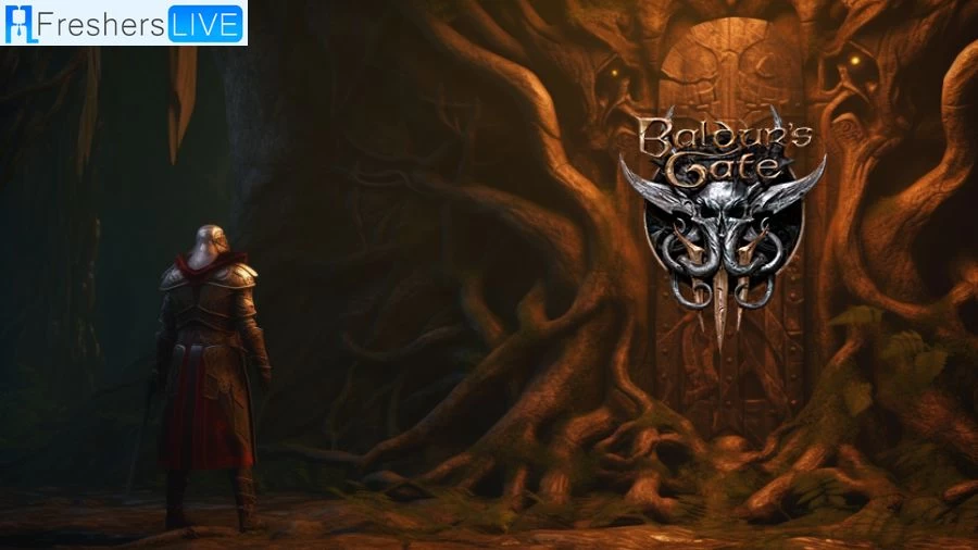 Baldur’s Gate 3: Investigate the Selunite Resistance Walkthrough