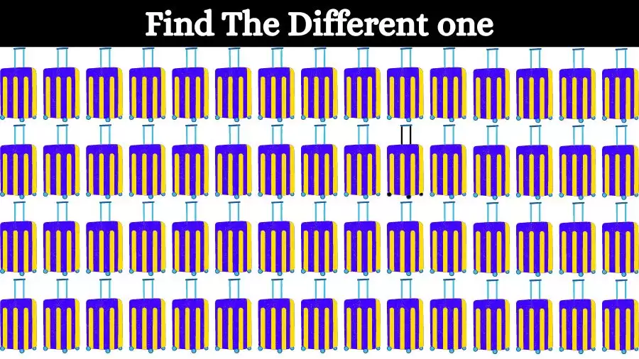 Brain Teaser: Can you Circle the Odd One Out in this Image