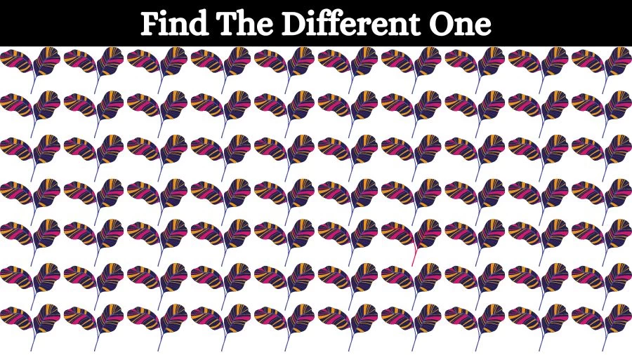 Brain Teaser Visual Test: Can you find the Odd One Out in this Picture in 10 Secs?