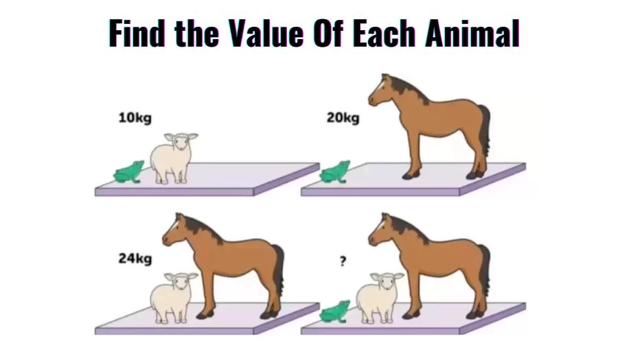 Brain Teasers for Geniuses: Find the Value Of Each Animal in 15 seconds