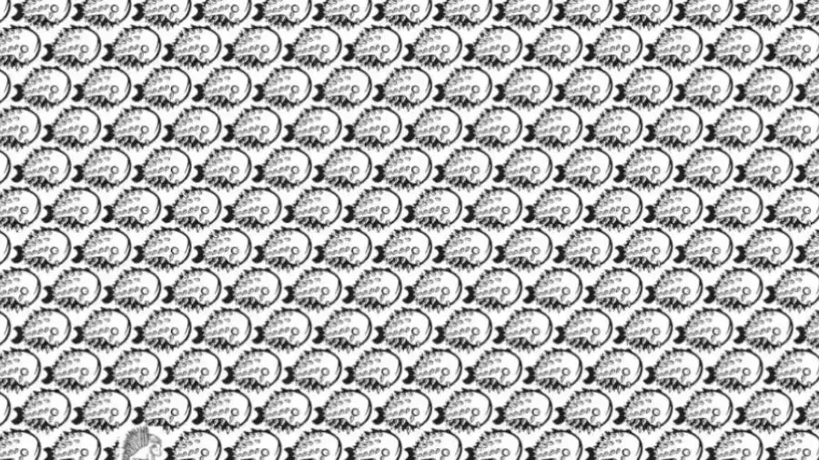 Can You Find the Porcupine Among the Fishes in 10 Seconds? Explanation and Solution to the Optical Illusion