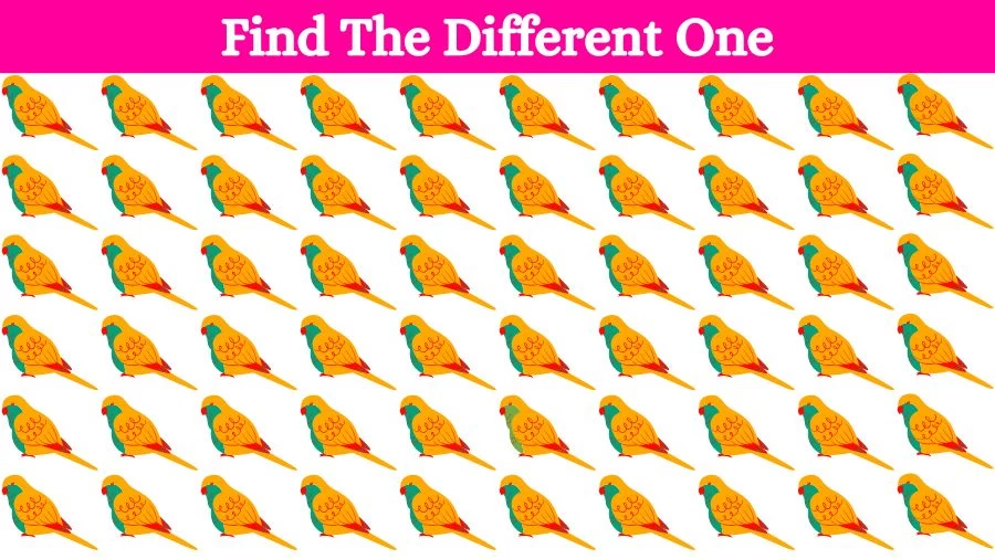 Circle the Odd One Out In 12 secs? Brain Teaser