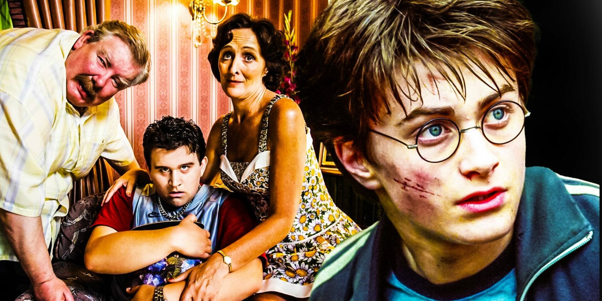 Harry Potter: 10 Things Only Book Fans Know About The Dursleys