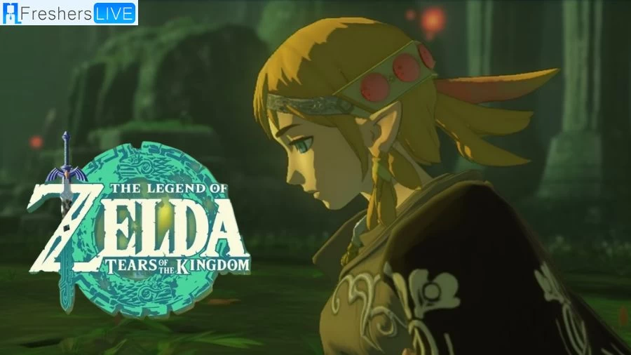 Nintendo Switch Online Subscribers Get Zelda: Tears of the Kingdom