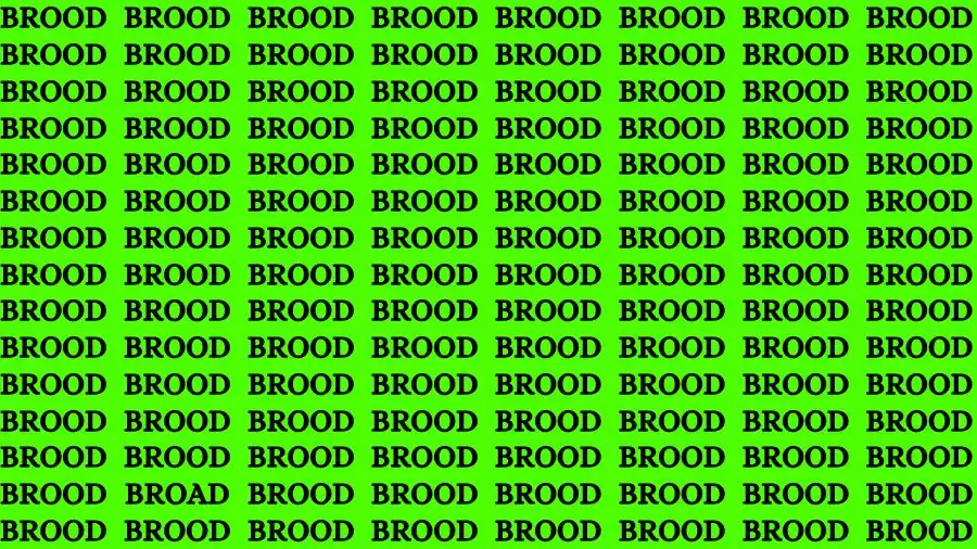 Only Extra Sharp Eyes Can Find the Word Broad among Brood in 15 Secs