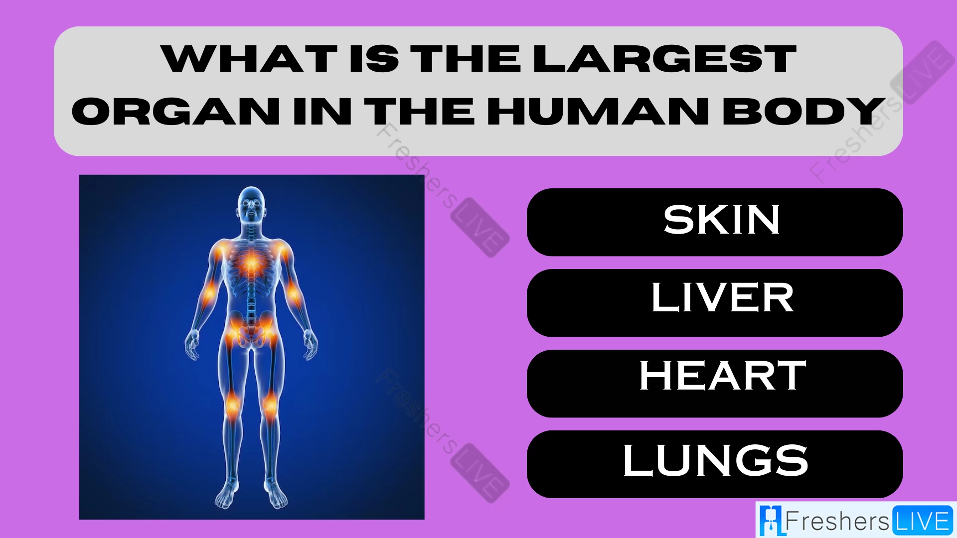 Only the Sharpest Minds Can Nail This: What's the Human Body's Largest Organ?