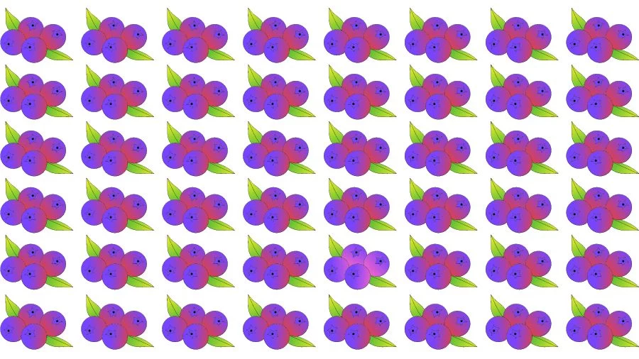 Optical Illusion Brain Challenge: Can you find the Odd Blueberry in 12 Seconds?