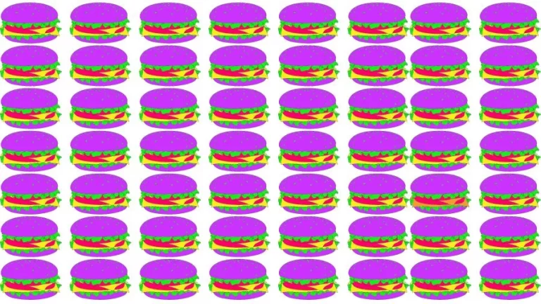 Optical Illusion Brain Challenge: Can you find the Odd Burger in 12 Seconds?