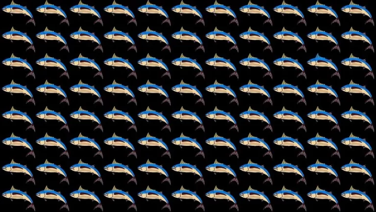 Optical Illusion Brain Challenge: Can you find the Odd Fish in 12 Seconds?