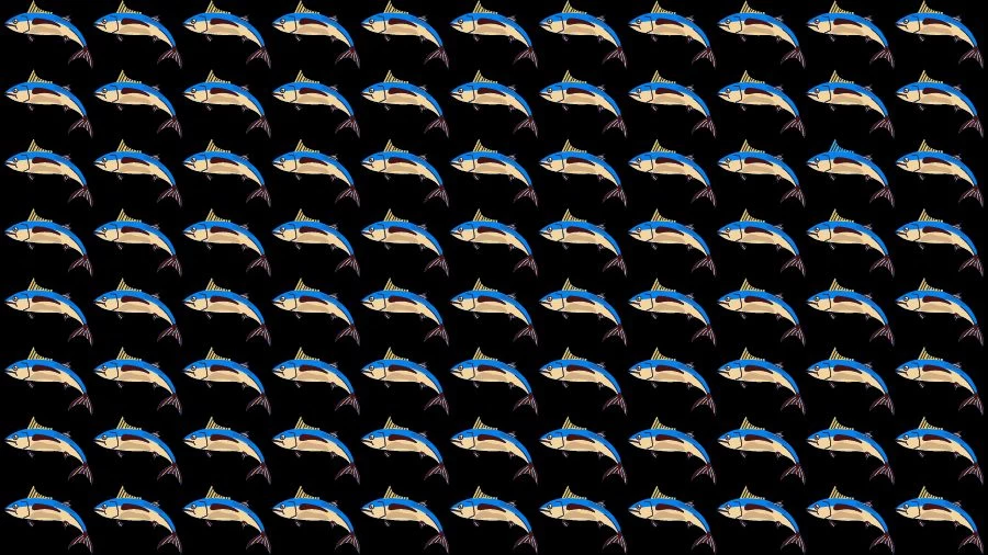 Optical Illusion Brain Challenge: Can you find the Odd Fish in 12 Seconds?