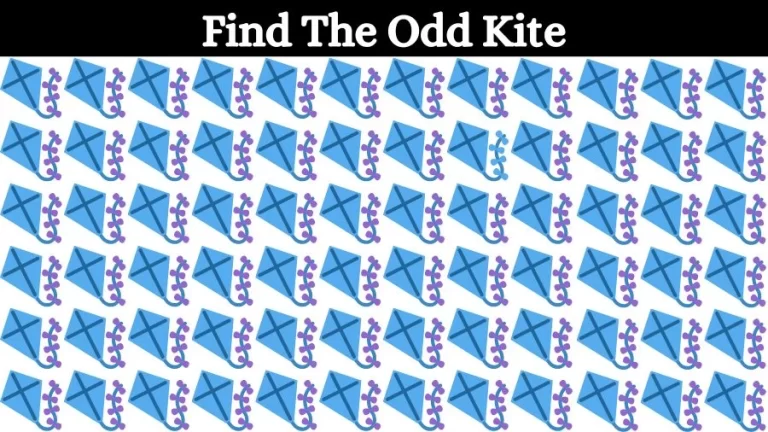 Optical Illusion Brain Challenge: Can you find the Odd Kite in 12 Seconds?