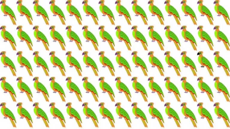 Optical Illusion Brain Challenge: Can you find the Odd Parrot in 12 Seconds?