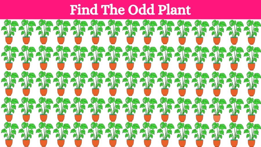 Optical Illusion Brain Challenge: Can you find the Odd Plant in 12 Seconds?