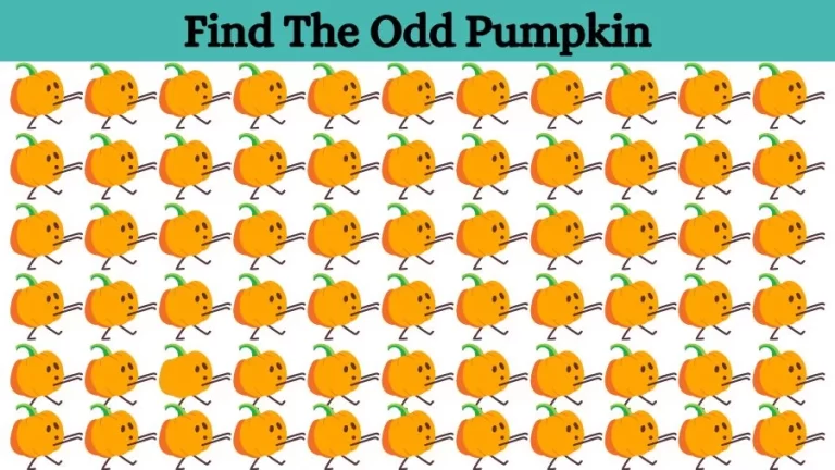 Optical Illusion Eye Test: Can you find the Odd Pumpkin in 20 Seconds?