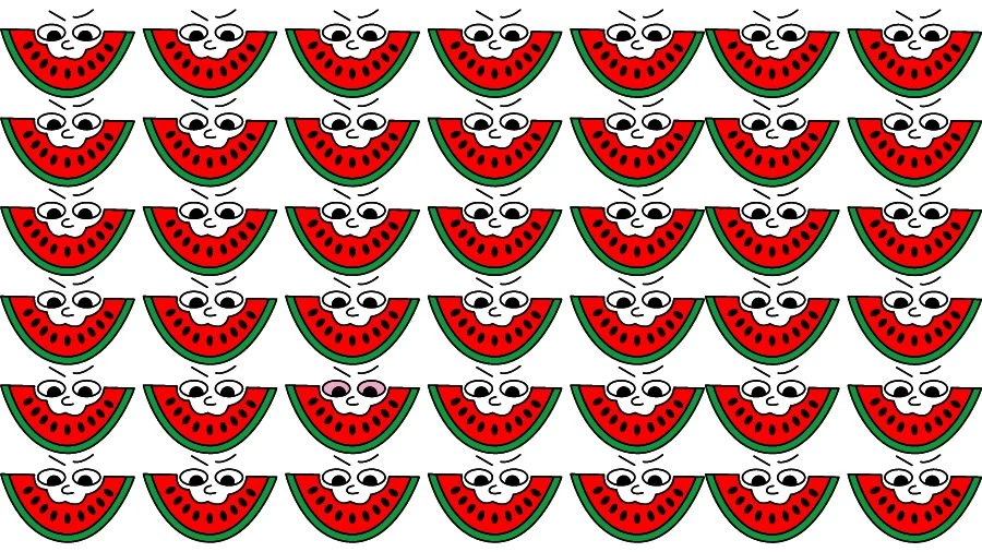 Optical Illusion Eye Test: Can you find the Odd Watermelon in 20 Seconds?