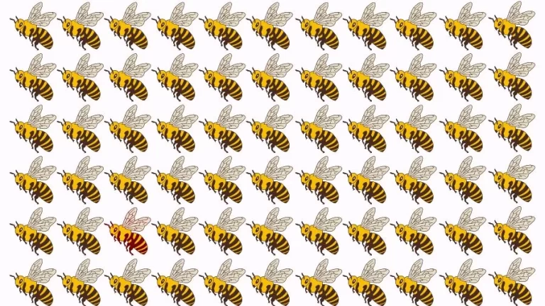 Optical Illusion Eye Test: Try to find the Odd Bee in this Image