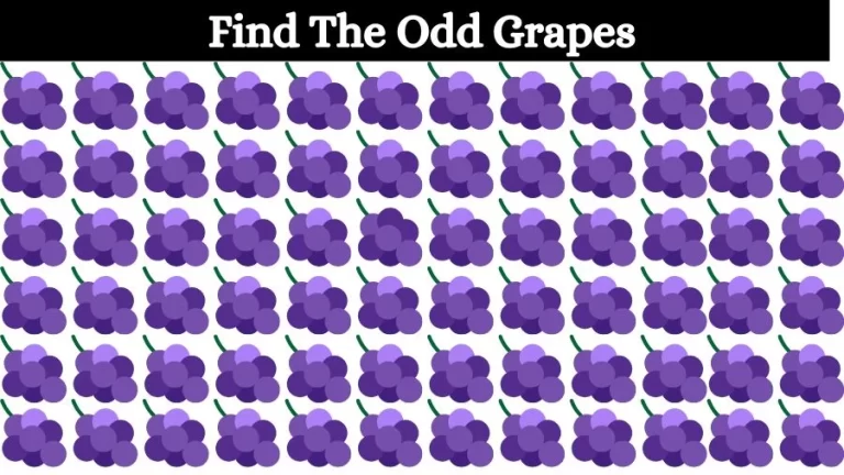 Optical Illusion Eye Test: Try to find the Odd Grapes in this Image