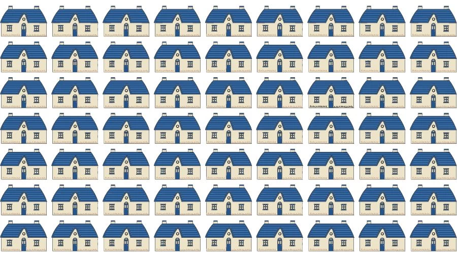 Optical Illusion Eye Test: Try to find the Odd House in this Image