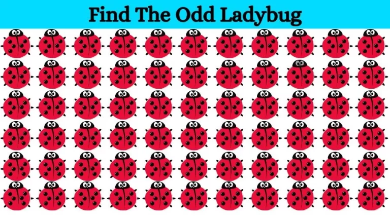 Optical Illusion Eye Test: Try to find the Odd Ladybug in this Image