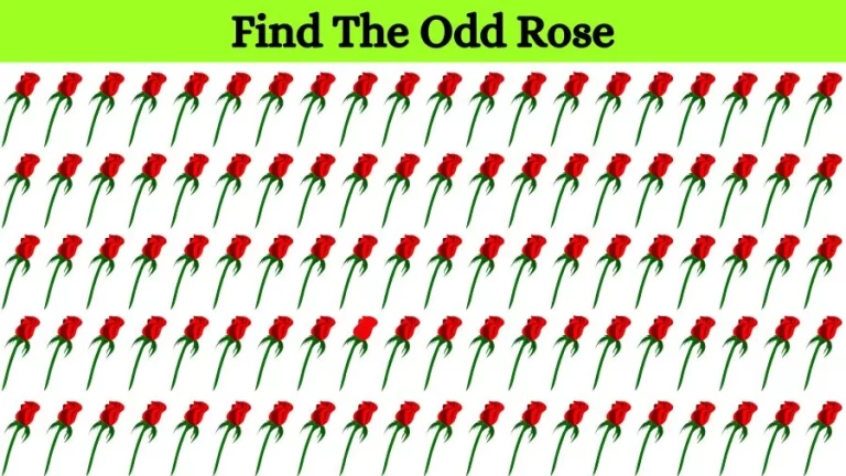 Optical Illusion Eye Test: Try to find the Odd Rose in this Image