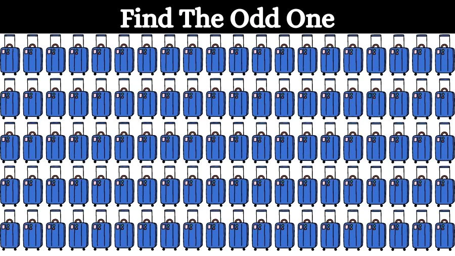 Optical Illusion Eye Test: Try to find the Odd Suitcase in this Image