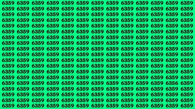 Optical Illusion: If you have 4K Vision Find the Number 6356 in 16 Secs