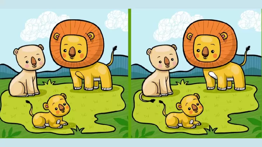 Optical Illusion Spot The Difference Game: If You Have Eagle Eyes Find the 3 Differences Between Two Images With 20 Seconds?