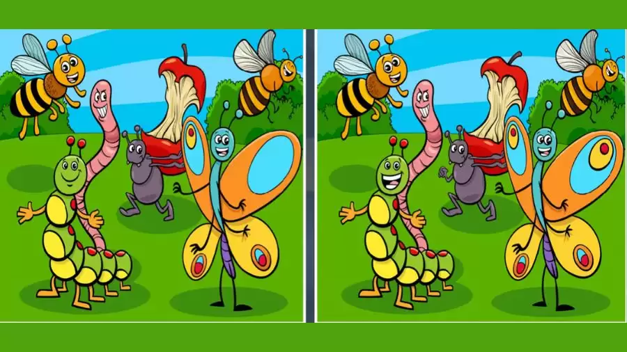 Spot the difference game: Only a genius can find the 5 differences in less than 30 seconds!
