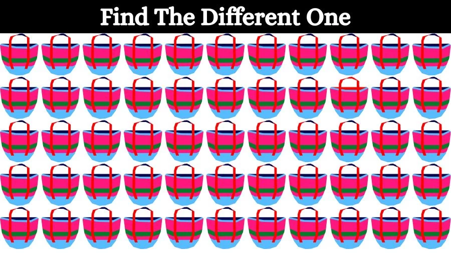 Visual Test: Can you spot the Odd One Out in this Image in 10 Secs?