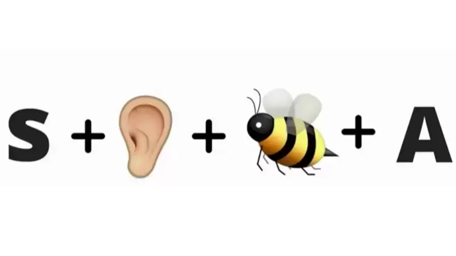 What Country is hidden in this Emoji Puzzle in 12 Seconds?