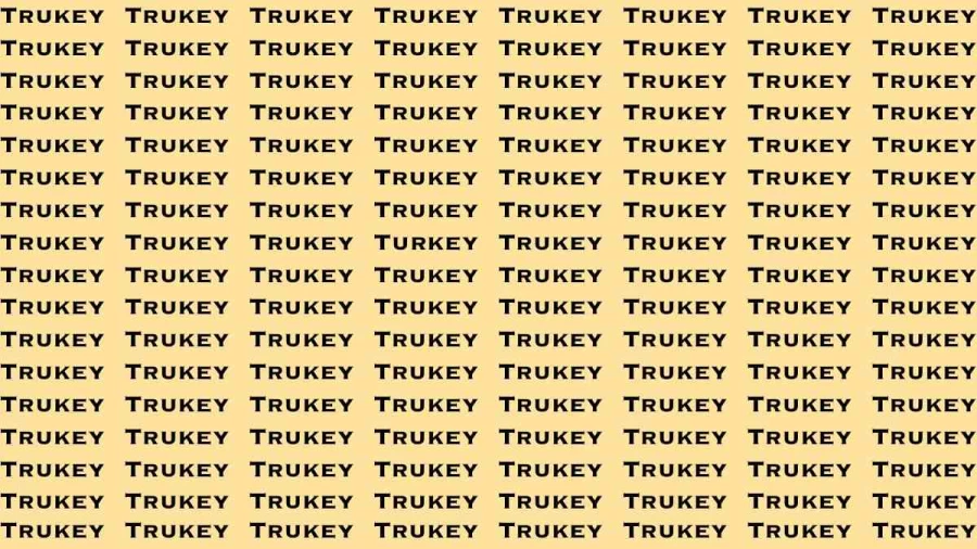 Observation Brain Test: If you have Eagle Eyes Find the Word Turkey in 12 Secs