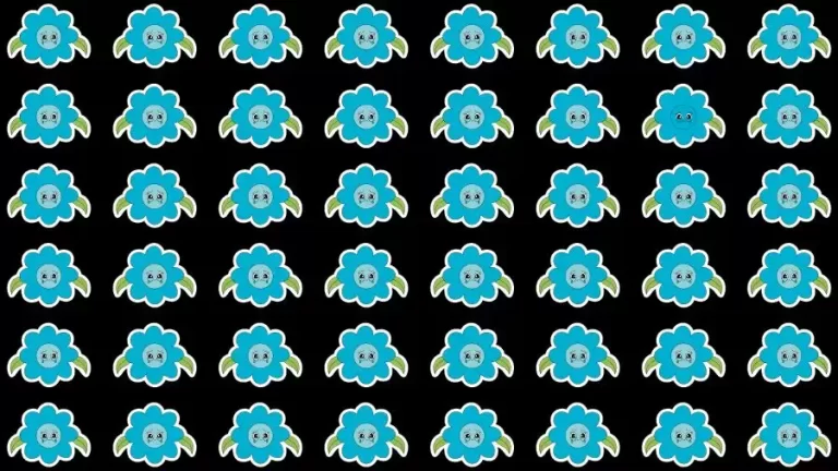 Optical Illusion Challenge: If you have Eagle Eyes find the Odd Flower in 15 Seconds